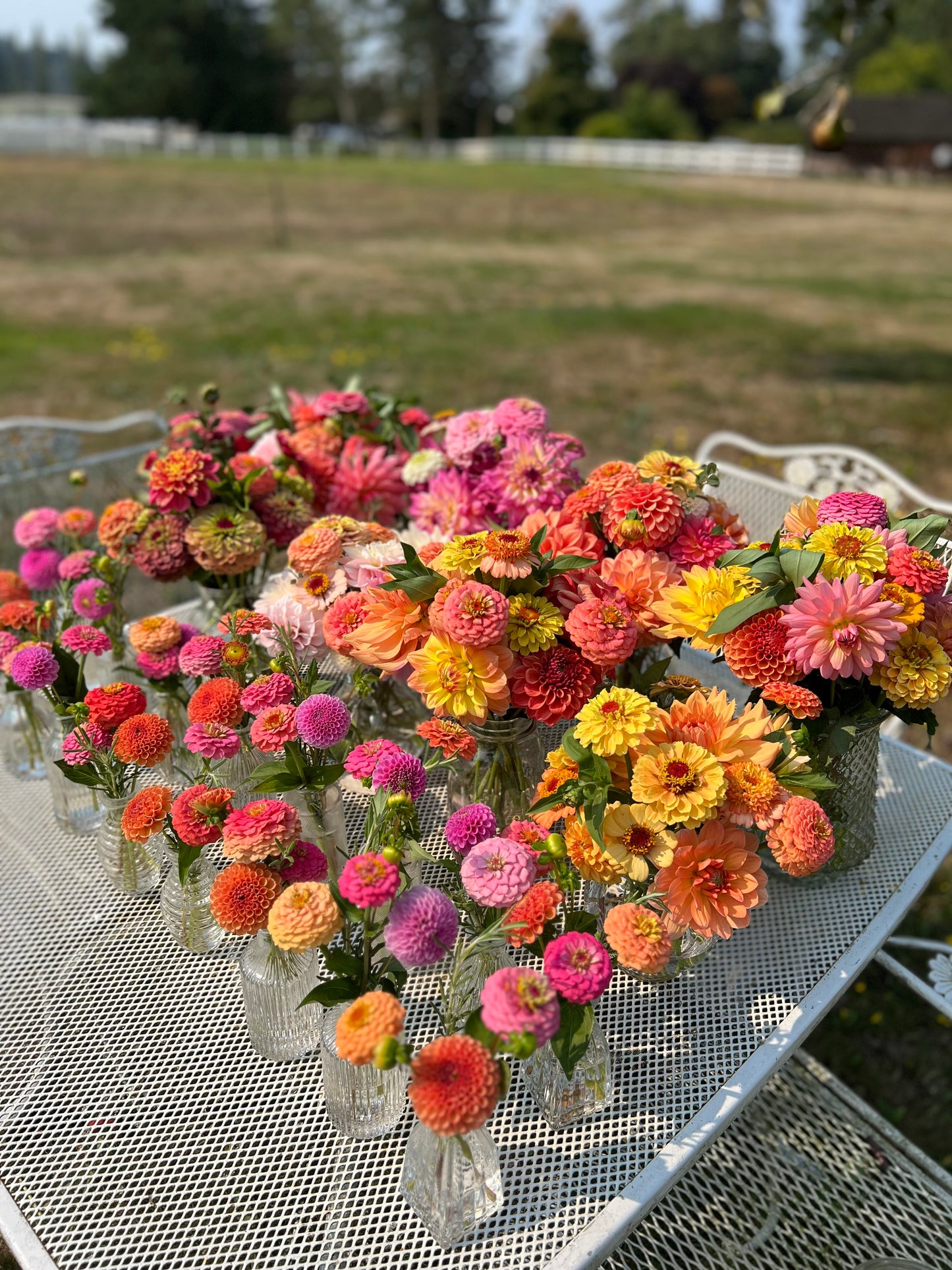 Bulk cut flowers
